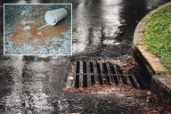 London woman fined 150 pounds for pouring splash of coffee down  storm drain before hopping onto bus