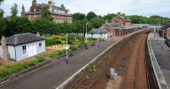 Cows on the line cause disruption to train services between Dumfries and Carlisle