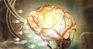 Scientists unearth 'secret' sixth sense within humans which is 'vital' for health