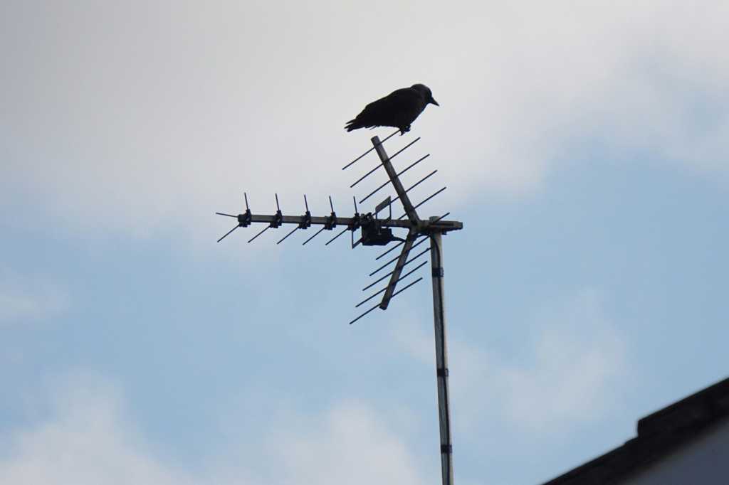 ATSC 3.0 is coming: TV antenna users should prepare for chaos