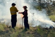 B.C. Wildfire Service, Forestry Ministry join BCGEU strike