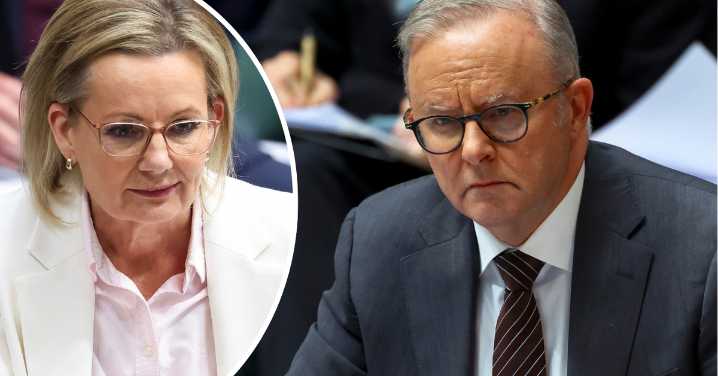 Anthony Albanese Joy Division T-shirt: Sussan Ley wants apology from prime minister for wearing popular band's tee