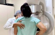 Van 237 víctimas de cáncer de mama