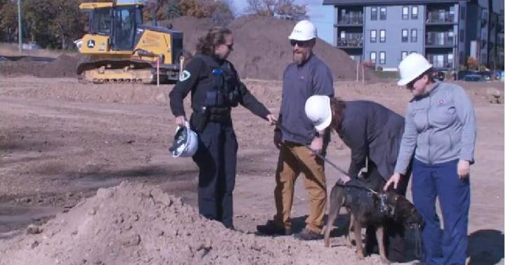 Stoughton Veterinary Services expands facility