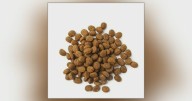 Salmonella outbreak in Canada linked to dog food and treats