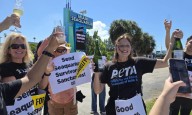 Ecologistas celebran el cierre del Seaquarium de Miami tras décadas de protestas