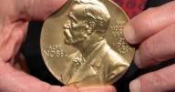Nobel in medicine goes to trio for immunity research