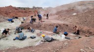 Be a paleontologist for a day with the St. George Dinosaur Discovery Site's new fossil