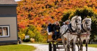 Killington Harvest Faire is festive fall fun