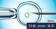 Should I freeze my eggs? Single and aged 31, I froze my eggs through IVF. Now I’m faced with a difficult choice