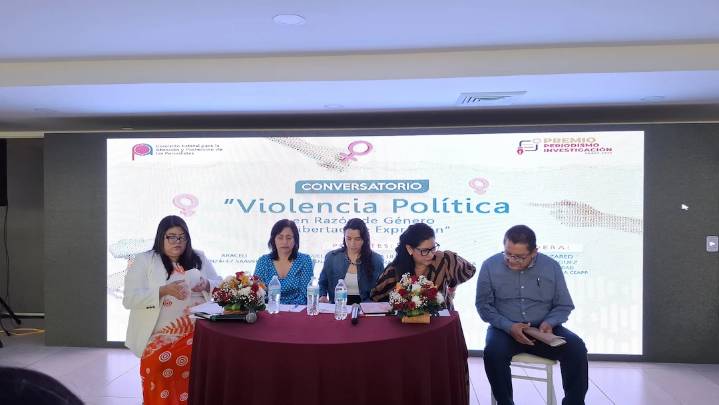 Figura de violencia política de genero se usa para limitar la liberta de expresión: ONG
