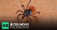 DSU track and field coach returns to team after two year battle with Lyme disease