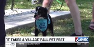 It Takes a Village hosts Fall Pet Fest