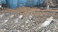 Goods Train Derails In Rajasthan's Kolayat, Rail Services Affected On The Route