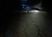 12-foot saltwater crocodile strays into Kendrapara village, sparks panic among locals