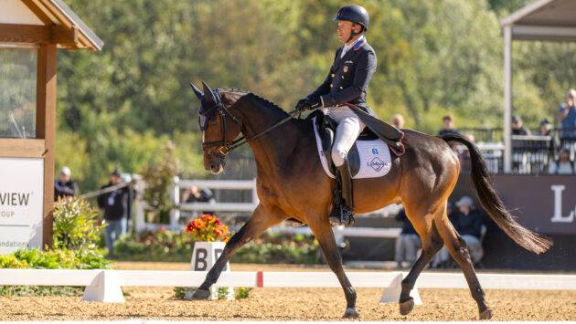 Maryland 5 Star dressage lead for Boyd Martin and Luke 140 on Thursday