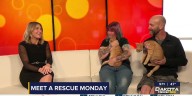 Meet a Rescue Monday: Kenny and Marcus