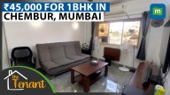The Lawyer Renting in one of Mumbai’s most green societies