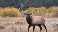 Rocky Mountain National Park open despite government shutdown