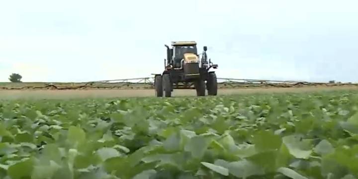 Kansas farmers sound alarm over soybean tariffs
