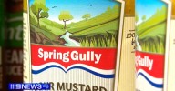 Spring Gully Foods: Iconic South Australian company collapses into administration owing millions