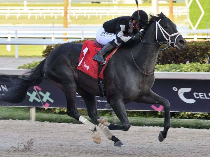 Kikito y Jaramillo destacan en Gulfstream Park