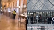 Louvre Heist: CCTV Shows Thief Cutting Through Glass Before Fleeing With Priceless Jewels