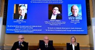 Premio Nobel a la Propiedad Intelectual