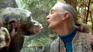 Murió a los 91 años Jane Goodall, “la mujer de los chimpancés”