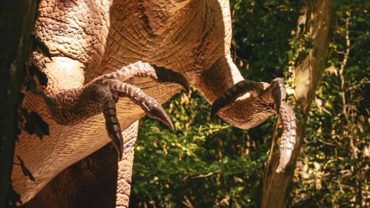 Científicos logran descubrimiento en momias de dinosaurios que cambia completamente la percepción de su anatomía
