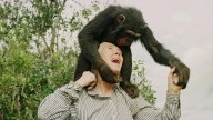 Primate pioneer Goodall praised for deep compassion