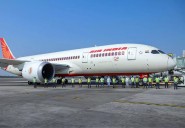 RAT deployment on plane was 'neither due to a system fault nor pi...