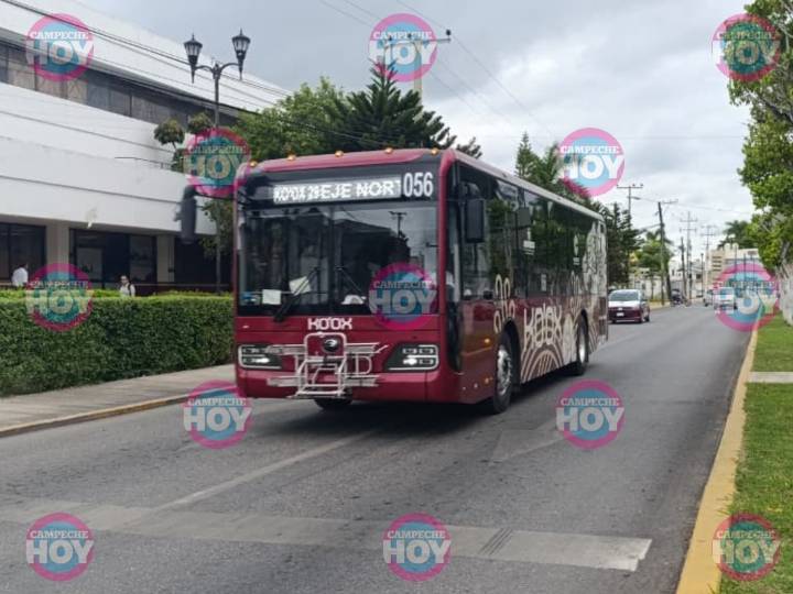 ENTRE AJUSTES Y ESPERANZA, ARRANCA EL NUEVO KO’OX