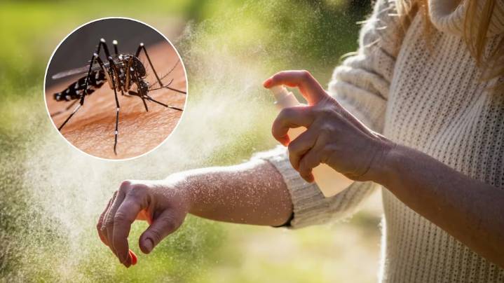 Sin químicos ni gastar de más: cómo hacer un repelente natural contra mosquitos con 3 ingredientes
