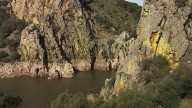 Monfragüe introduce la caza con arco y rehalas de perros para controlar la población de ciervos y jabalíes More