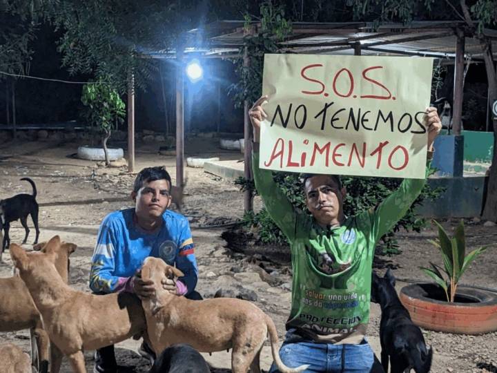 «¡SOS!»: refugio para animales sin alimento