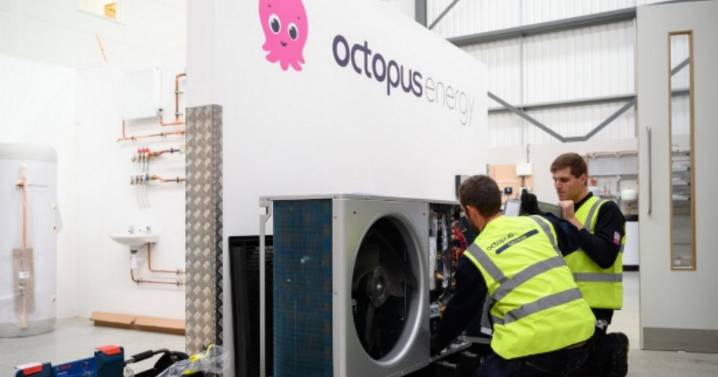 Octopus Energy cutting certain UK households' bills to £0 for 10 years
