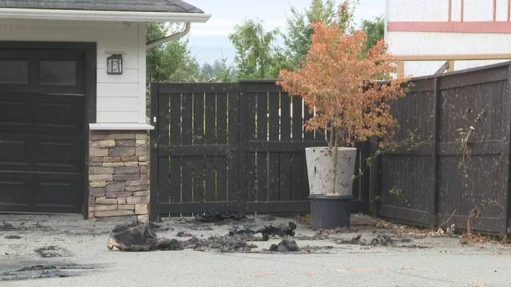 Man sentenced for arson, shooting at B.C. home of Punjabi musician AP Dhillon