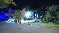 Un gran árbol cae sobre dos casas en Malden