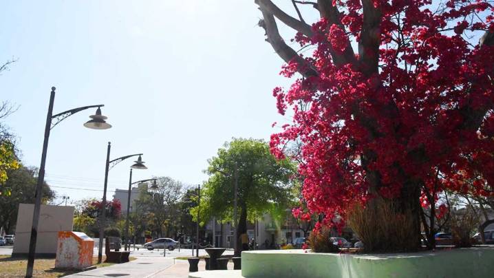 El tiempo para este viernes 10 de octubre en Santiago del Estero: el calor se hará sentir con una máxima de 37ºC