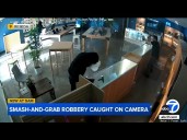 Suspect, Reseda store owner fire pepper spray during robbery