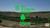 Zorita de los Canes, 15º objetivo de desarrollo sostenible: vida de ecosistemas terrestres