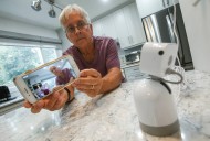 Province brings back popular rebate for household security