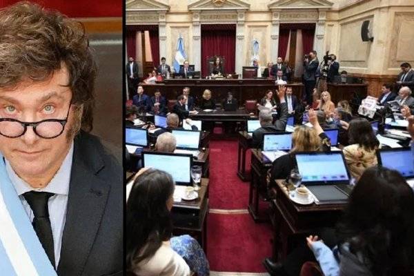 Memes y festejo por otro revés para Milei: el Senado también rechazó el veto a la Emergencia Pediátrica y al Financiamiento Universitario