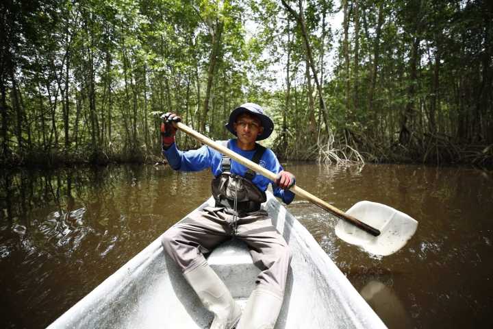 Secretos de los manglares de Belice: Cómo los hogares invisibles mayas están reescribiendo la historia costera