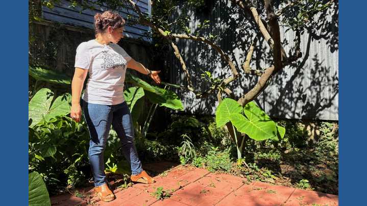 A long-lost ancient Roman artifact reappears in a New Orleans backyard