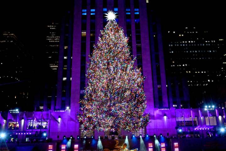 The 2025 Rockefeller Center Christmas Tree Has Been Chosen! See the Evergreen and Find Out Its Home Town