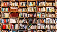Alabama board seeks to ban books that ‘positively’ depict trans themes from library youth sections