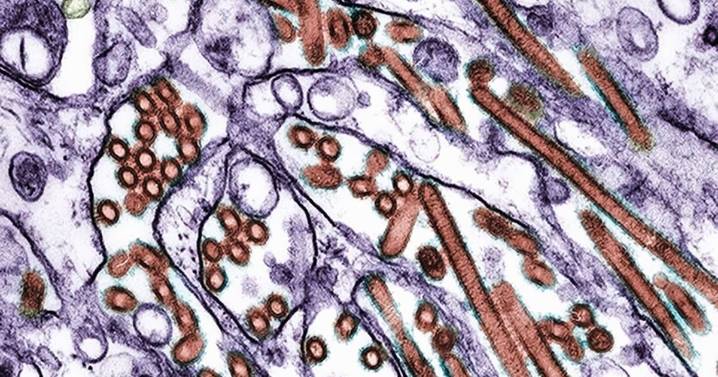 Flu season warning as Indiana reports first flu death