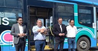Querétaro ya permite entrar con mascotas al transporte público